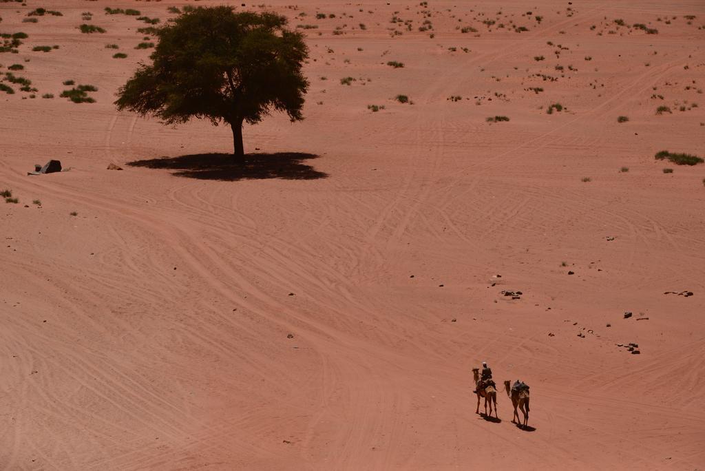 Wadi Rum Sleep Under The Stars Buitenkant foto